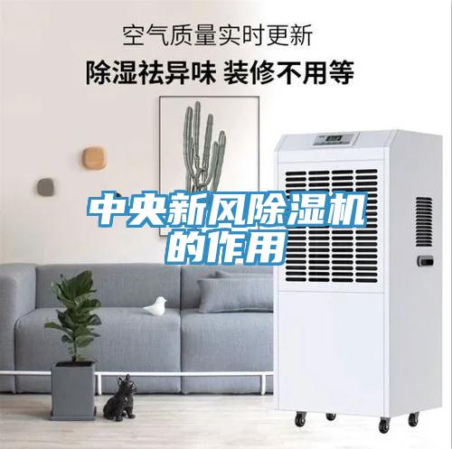 中央新风猫咪成人官网的作用