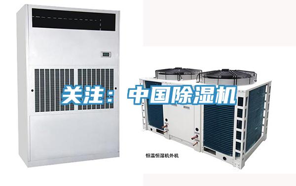 关注：中国猫咪成人官网