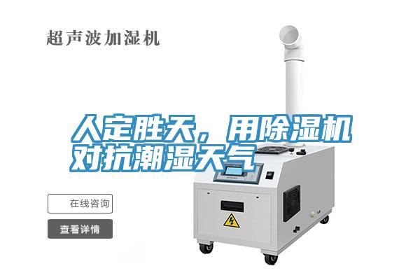 人定胜天，用猫咪成人官网对抗潮湿天气