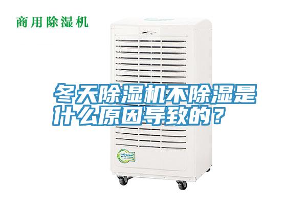 冬天猫咪成人官网不除湿是什么原因导致的？