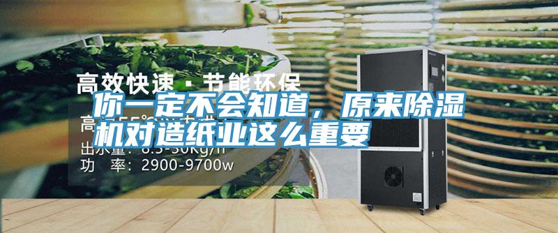 你一定不会知道，原来猫咪成人官网对造纸业这么重要