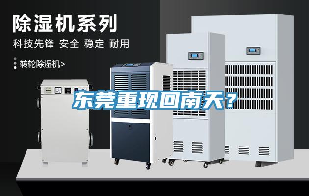 东莞重现回南天？