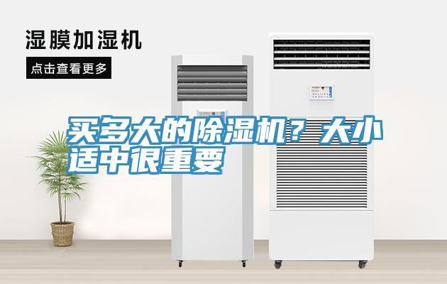 买多大的猫咪成人官网？大小适中很重要