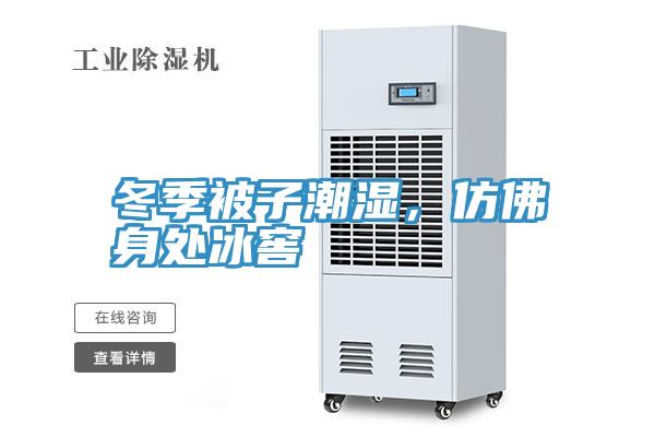 冬季被子潮湿，仿佛身处冰窖
