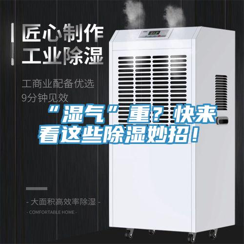 “湿气”重？快来看这些除湿妙招！