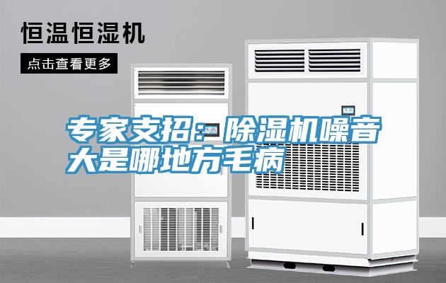 专家支招：猫咪成人官网噪音大是哪地方毛病