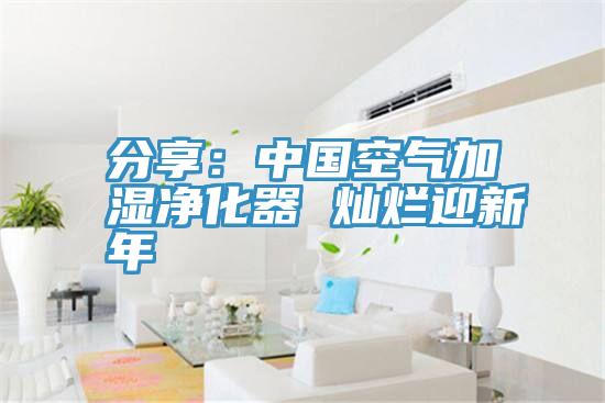 分享：中国空气加湿净化器 灿烂迎新年