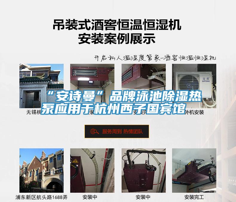 “猫咪成人在线视频”品牌泳池除湿热泵应用于杭州西子国宾馆