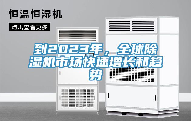 到2023年，全球猫咪成人官网市场快速增长和趋势