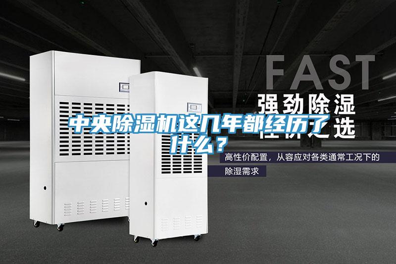 中央猫咪成人官网这几年都经历了什么？