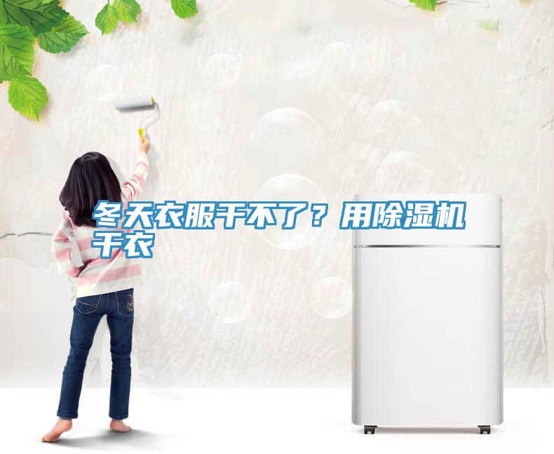 冬天衣服干不了？用猫咪成人官网干衣