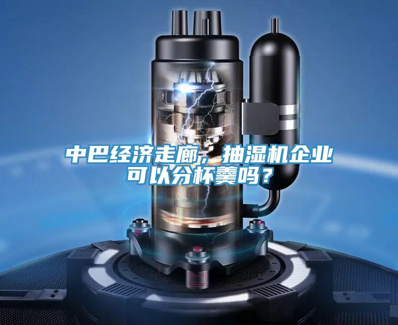 中巴经济走廊，抽湿机企业可以分杯羹吗？