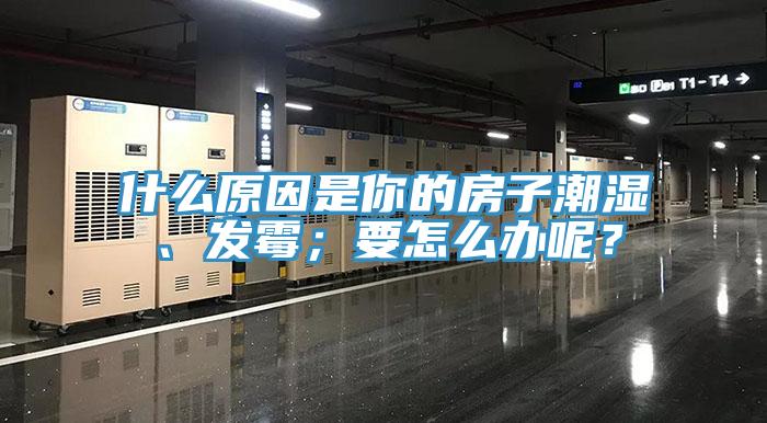 什么原因是你的房子潮湿、发霉；要怎么办呢？