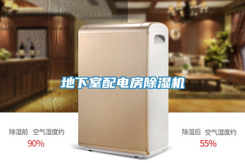 地下室配电房猫咪成人官网