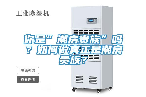 你是”潮房贵族”吗？如何做真正是潮房贵族？