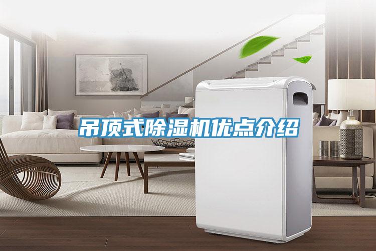 吊顶式猫咪成人官网优点介绍