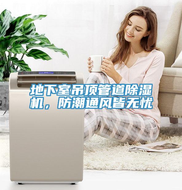 地下室吊顶管道猫咪成人官网，防潮通风皆无忧