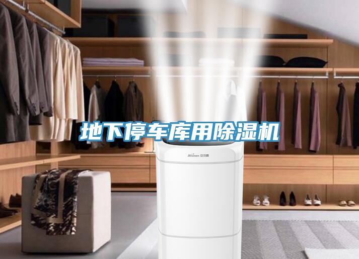 地下停车库用猫咪成人官网