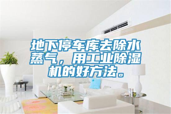 地下停车库去除水蒸气，用工业猫咪成人官网的好方法。