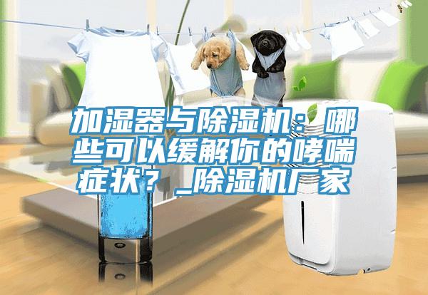 加湿器与猫咪成人官网：哪些可以缓解你的哮喘症状？_猫咪成人官网厂家