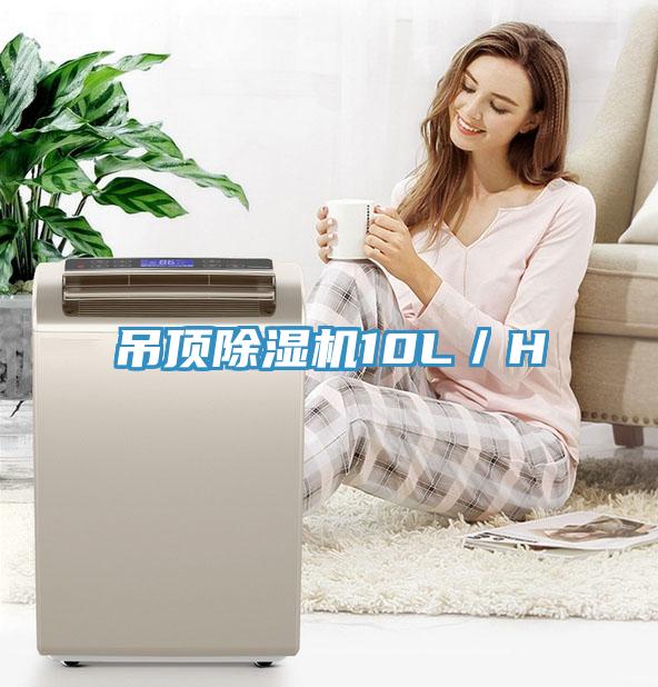 吊顶猫咪成人官网10L／H
