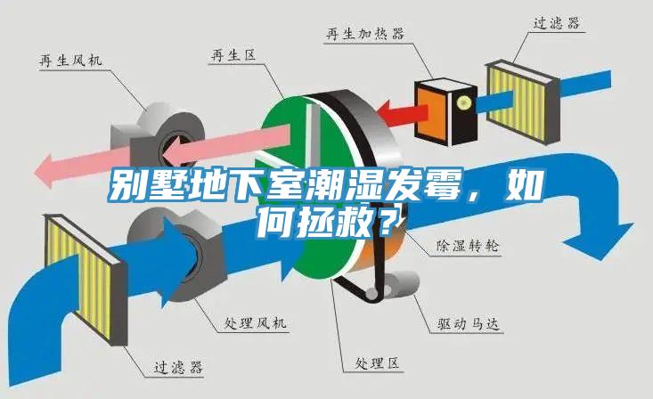 别墅地下室潮湿发霉，如何拯救？