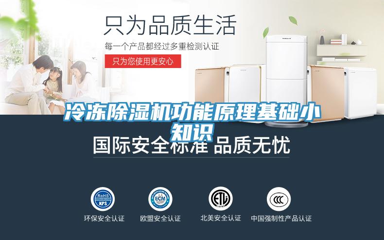 冷冻猫咪成人官网功能原理基础小知识