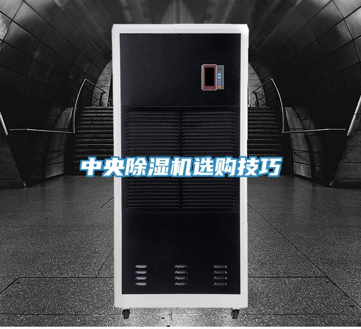 中央猫咪成人官网选购技巧