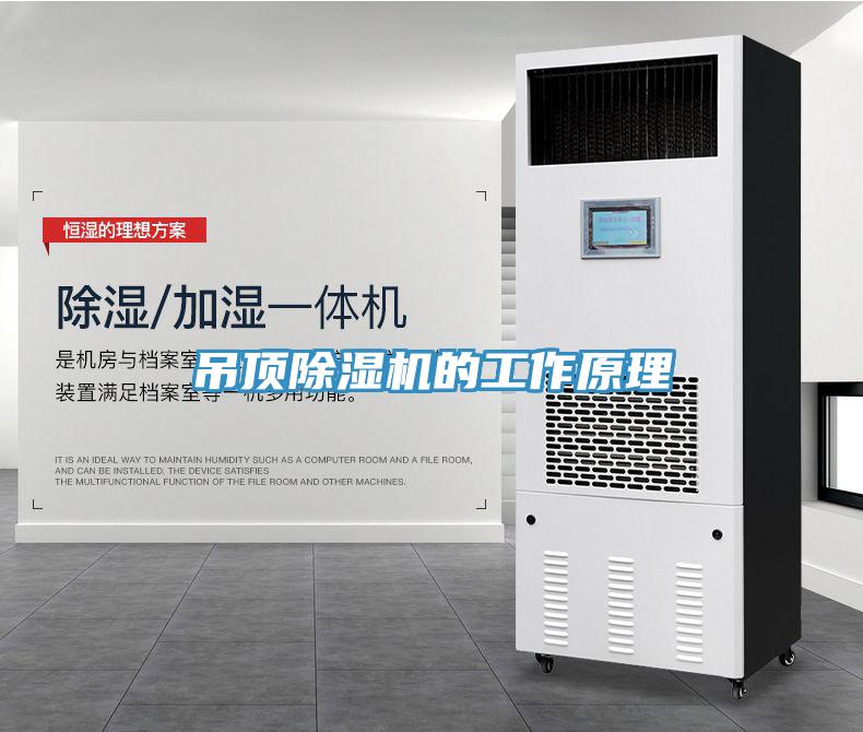 吊顶猫咪成人官网的工作原理
