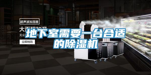 地下室需要一台合适的猫咪成人官网