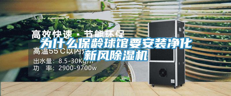 为什么保龄球馆要安装净化新风猫咪成人官网