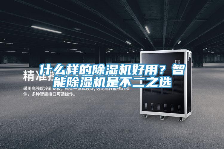 什么样的猫咪成人官网好用？智能猫咪成人官网是不二之选
