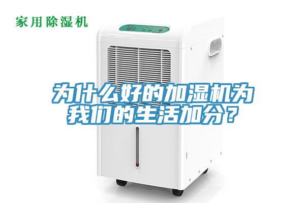 为什么好的加湿机为猫咪成人在线视频的生活加分？