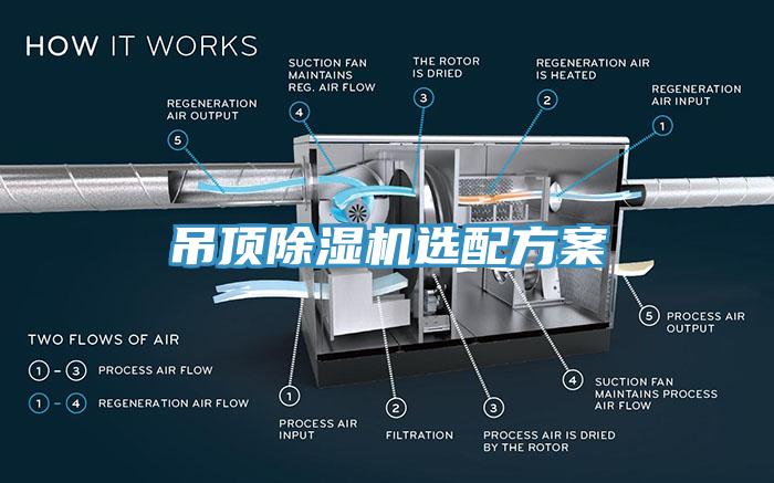 吊顶猫咪成人官网选配方案