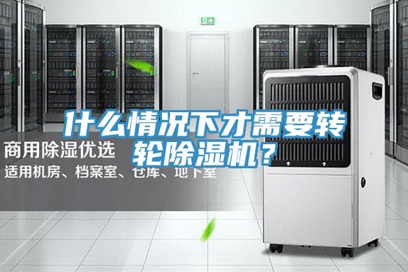 什么情况下才需要转轮猫咪成人官网？