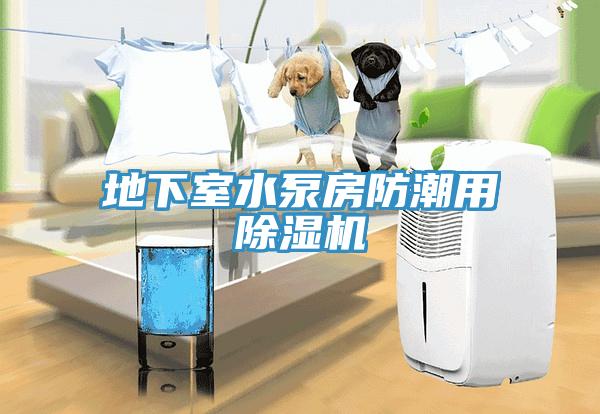 地下室水泵房防潮用猫咪成人官网