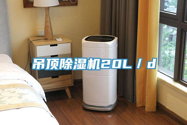 吊顶猫咪成人官网20L／d