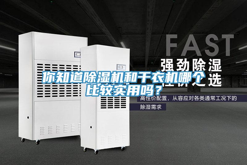 你知道猫咪成人官网和干衣机哪个比较实用吗？