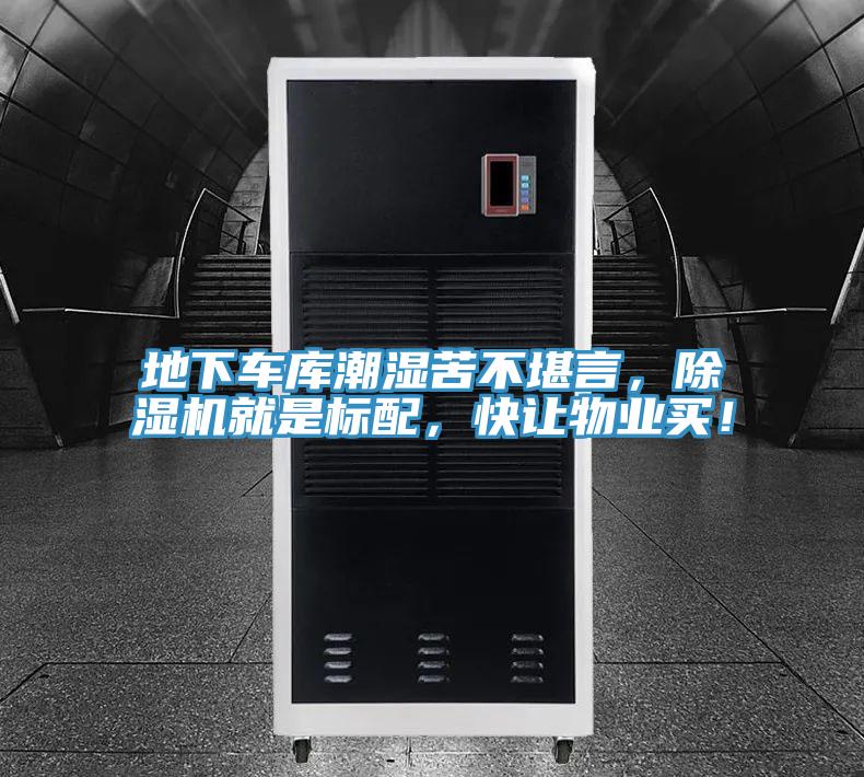 地下车库潮湿苦不堪言，猫咪成人官网就是标配，快让物业买！