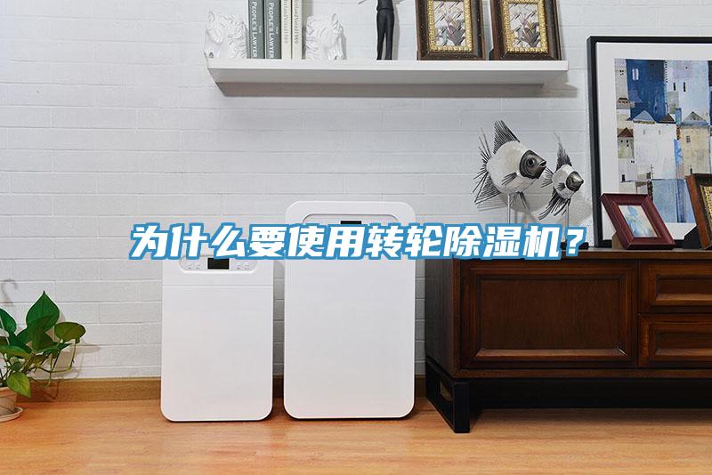 为什么要使用转轮猫咪成人官网？