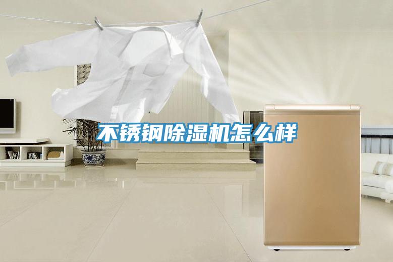 不锈钢猫咪成人官网怎么样