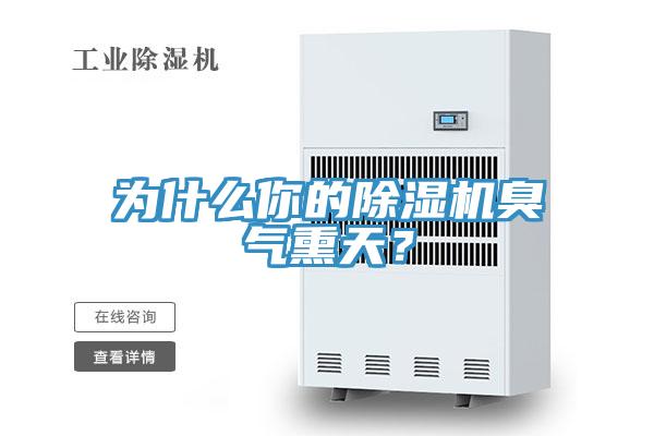为什么你的猫咪成人官网臭气熏天？