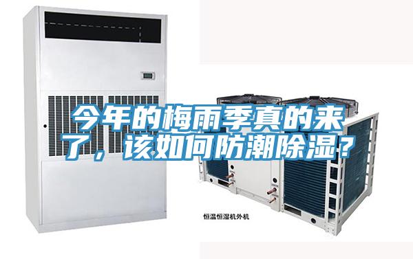 今年的梅雨季真的来了，该如何防潮除湿？