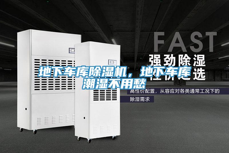 地下车库猫咪成人官网，地下车库潮湿不用愁