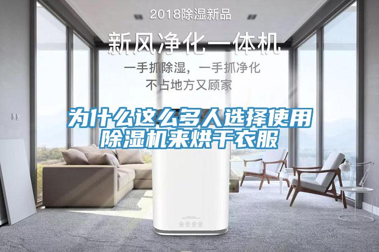 为什么这么多人选择使用猫咪成人官网来烘干衣服