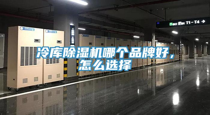 冷库猫咪成人官网哪个品牌好，怎么选择