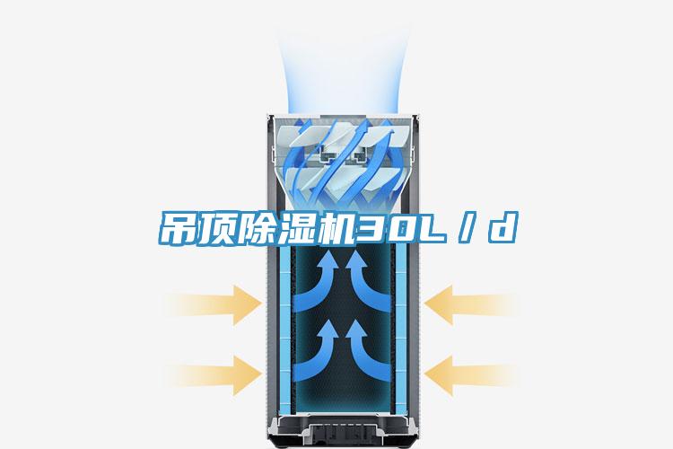 吊顶猫咪成人官网30L／d
