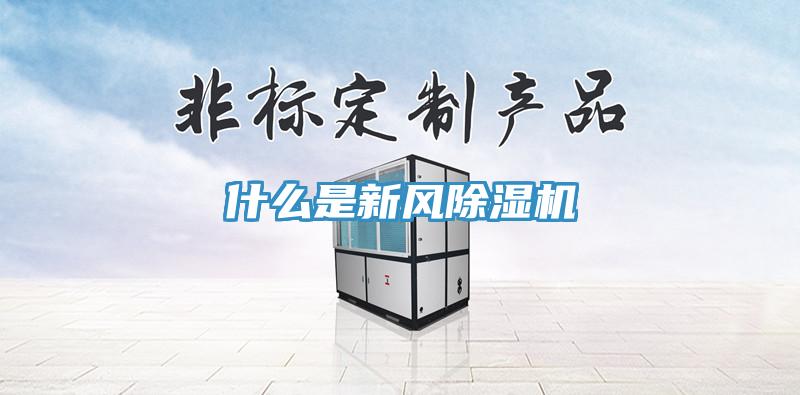 什么是新风猫咪成人官网