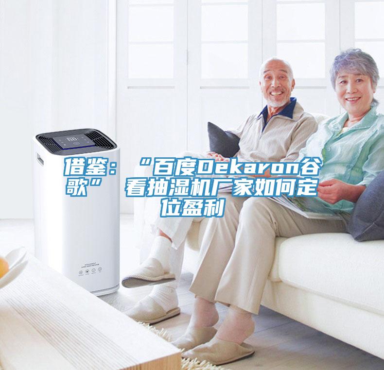 借鉴：“百度Dekaron谷歌” 看抽湿机厂家如何定位盈利