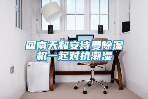 回南天和猫咪成人在线视频猫咪成人官网一起对抗潮湿